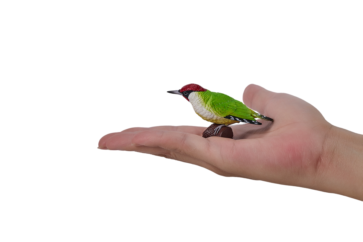 Mojo - Green Woodpecker Gift Boxed