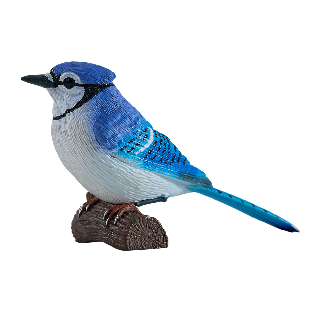 Mojo - Blue Jay Gift Boxed