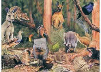 BOpal - Wild Aust On the Forest Floor 200pc - Modern Brands Australia