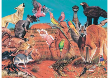 BOpal - Wild Aust The Outback 100pc - Modern Brands Australia