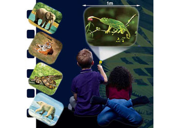 Brainstorm - Animal Torch & Projector - Modern Brands Australia