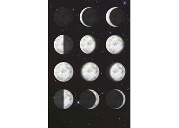 Brainstorm - My Very Own Moon - Modern Brands Australia
