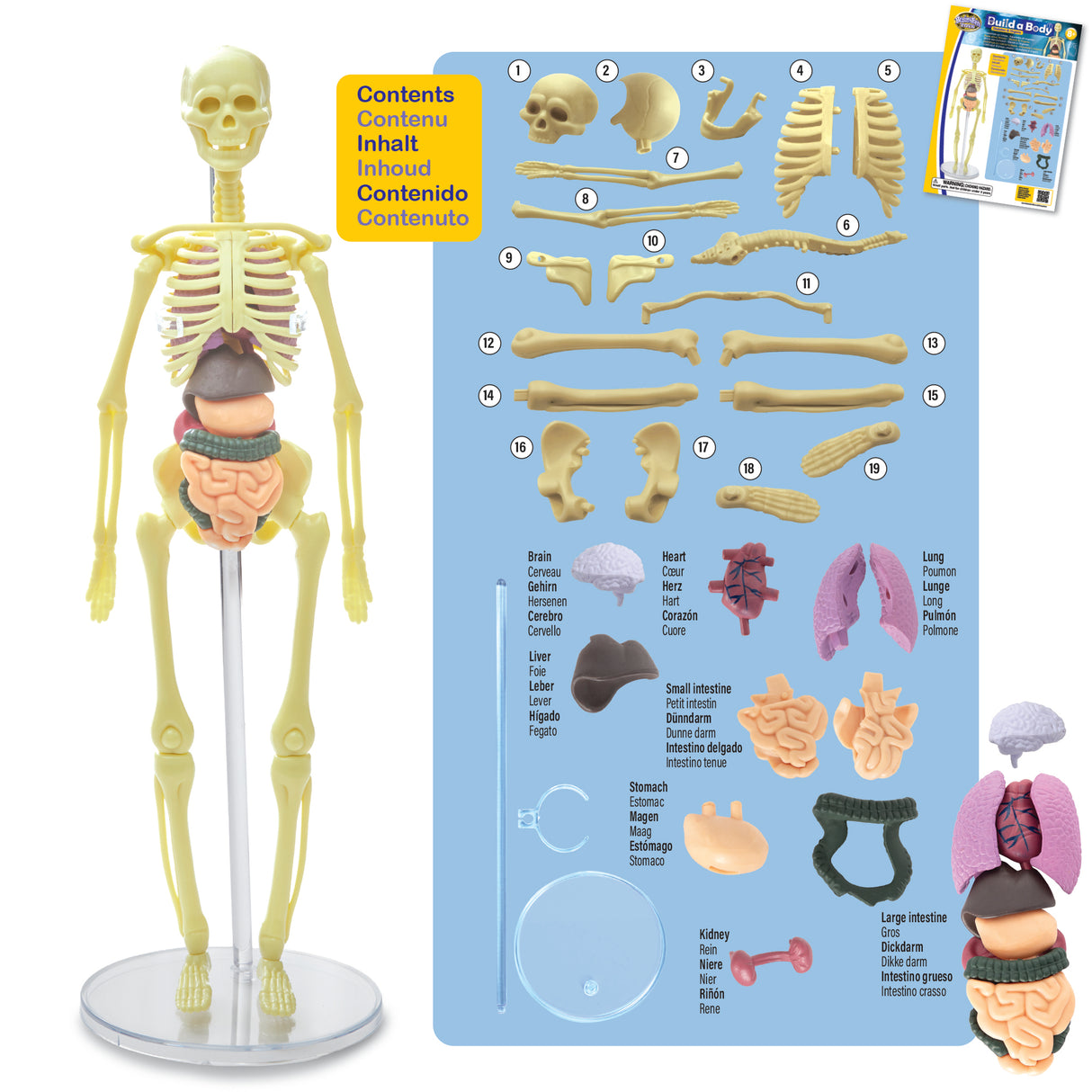 Brainstorm Toys - Build a Body