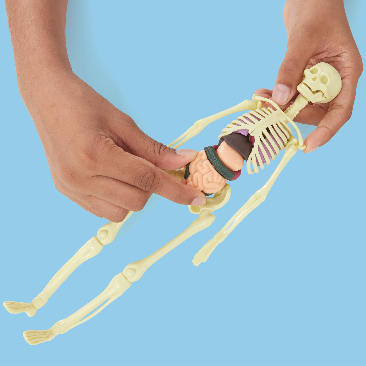 Brainstorm Toys - Build a Body