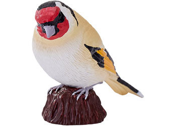 Mojo - European Goldfinch 2025 - Modern Brands Australia