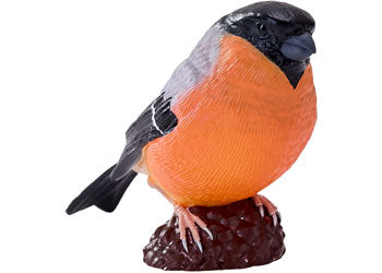 Mojo - Bullfinch 2025 - Modern Brands Australia