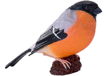 Mojo - Bullfinch 2025 - Modern Brands Australia