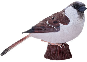 Mojo - House Sparrow 2025 - Modern Brands Australia
