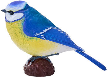 Mojo - Blue Tit 2025 - Modern Brands Australia