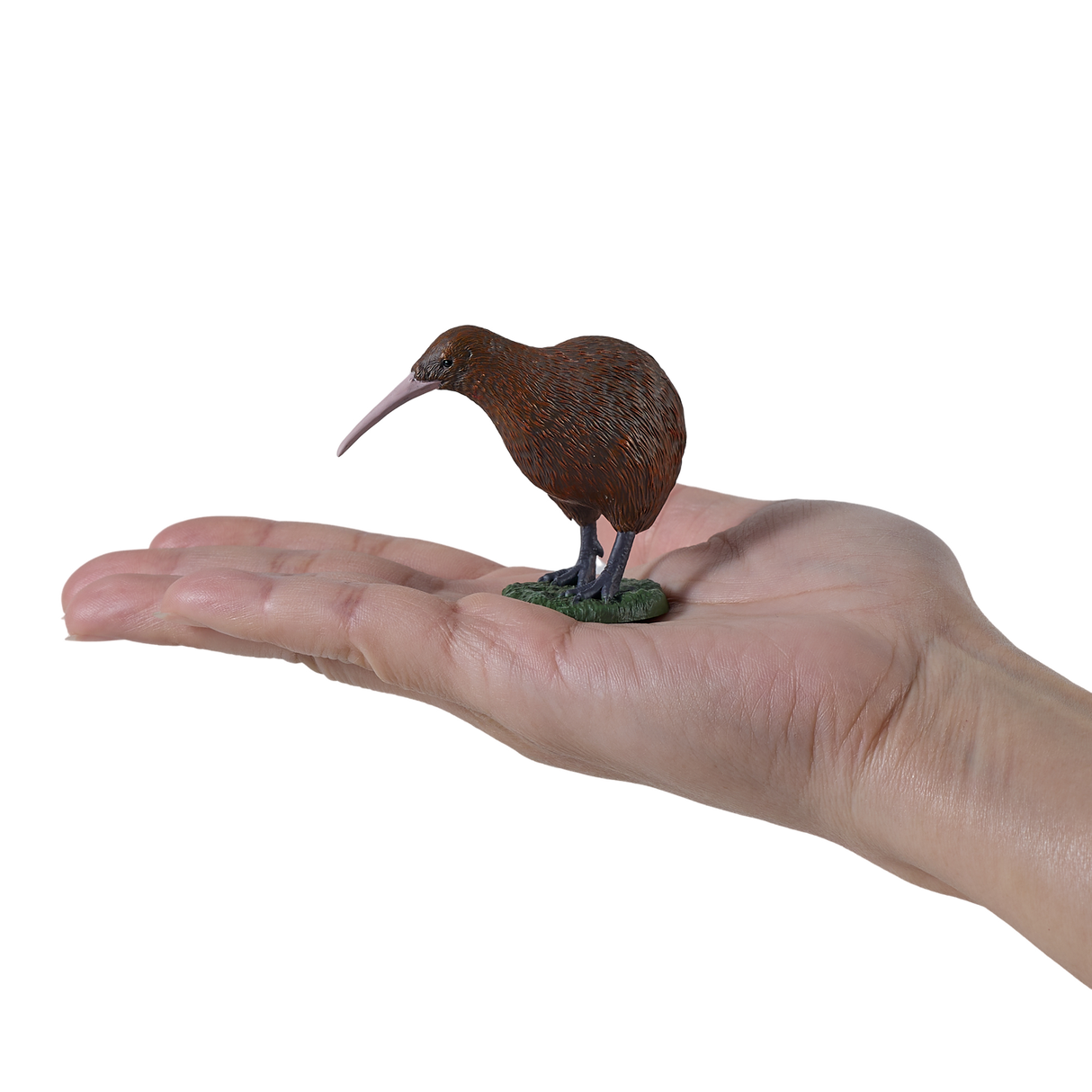 Mojo - Kiwi Gift Boxed