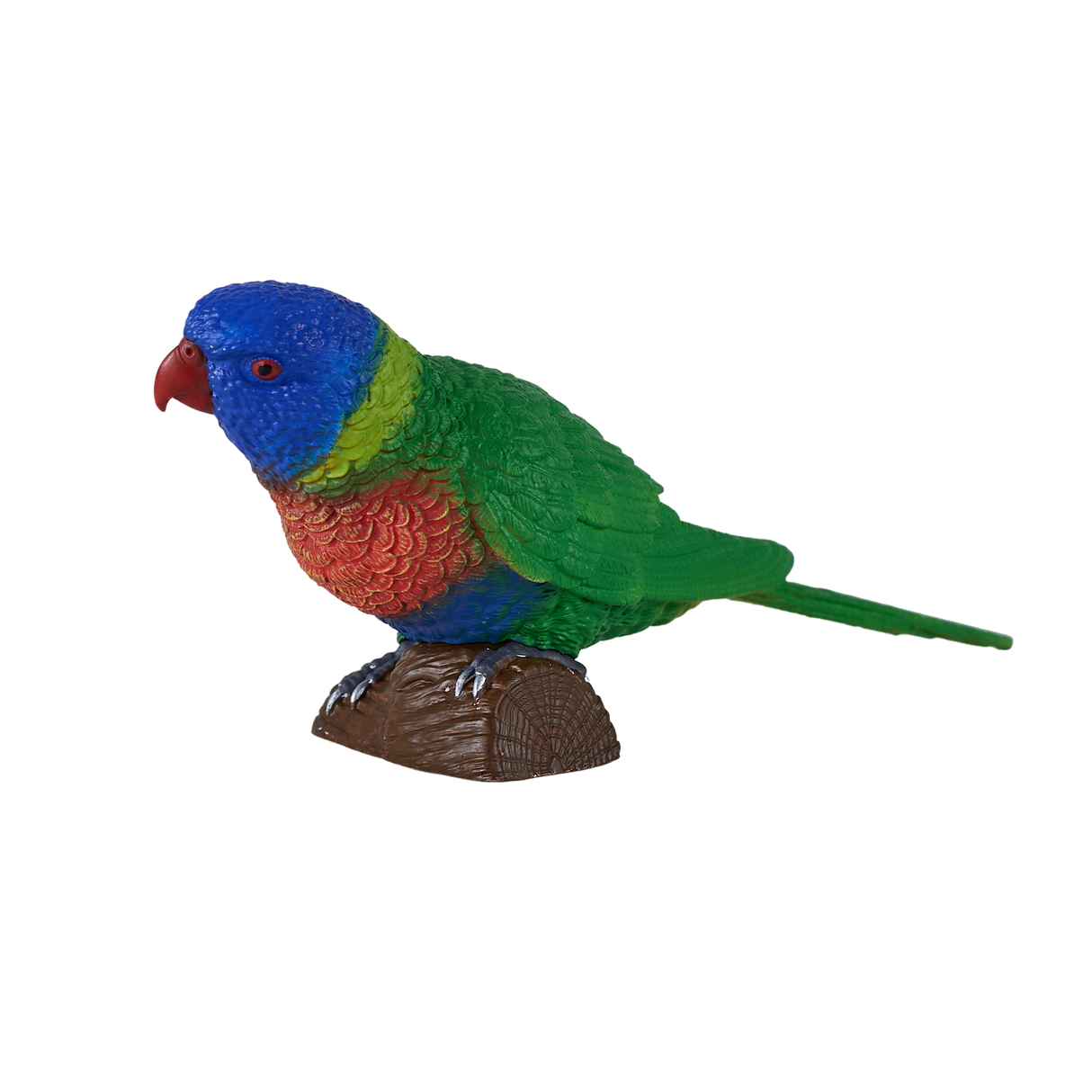 Mojo - Rainbow Lorikeet