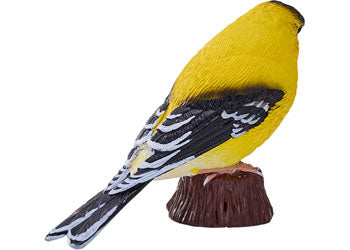 Mojo - American Goldlfinch 2025 - Modern Brands Australia