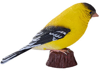 Mojo - American Goldlfinch 2025 - Modern Brands Australia