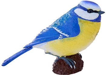 Mojo - Blue Tit 2025 - Modern Brands Australia