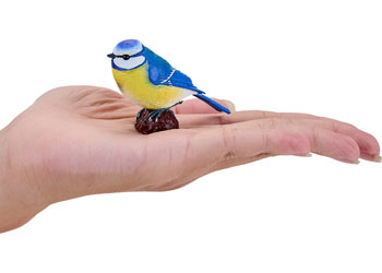 Mojo - Blue Tit 2025 - Modern Brands Australia