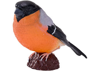 Mojo - Bullfinch 2025 - Modern Brands Australia