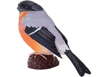 Mojo - Bullfinch 2025 - Modern Brands Australia