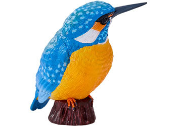 Mojo - Kingfisher 2025 - Modern Brands Australia