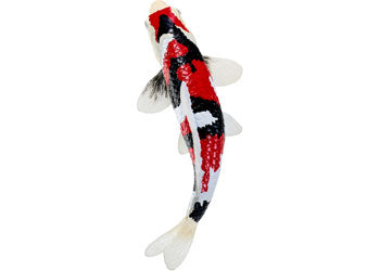 Mojo - Koi Carp - Showa Sanshoku Koi 2025 - Modern Brands Australia