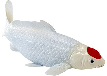 Mojo - Koi Carp - Tancho Koi (red dot) 2025 - Modern Brands Australia