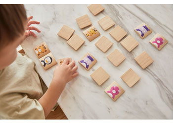 PlanToys - Animals Matching - Modern Brands Australia
