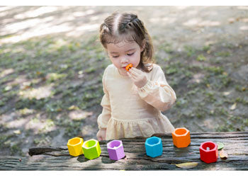 PlanToys - Beehives - Modern Brands Australia