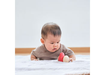 Plantoys - Bird Roller - Modern Brands Australia