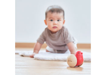 Plantoys - Bird Roller - Modern Brands Australia