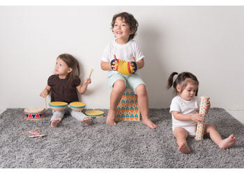 PlanToys - Concertina - Modern Brands Australia