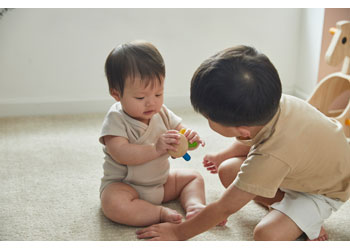 PlanToys - Flexi Jellyfish - Modern Brands Australia