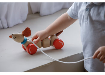 PlanToys - Happy Puppy - Modern Brands Australia