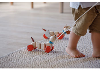 PlanToys - Happy Puppy - Modern Brands Australia