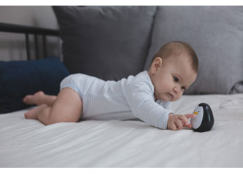 PlanToys - Penguin - Modern Brands Australia