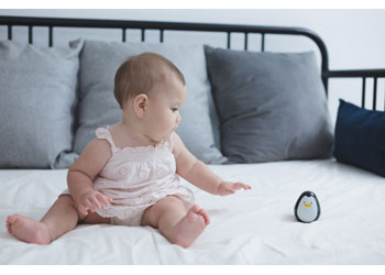 PlanToys - Penguin - Modern Brands Australia