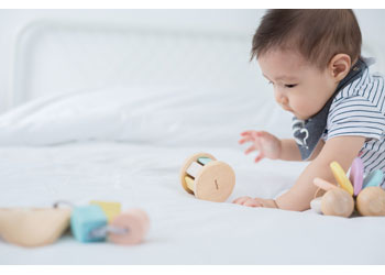 PlanToys - Roller - Pastel - Modern Brands Australia