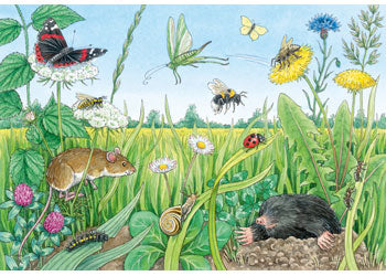 Ravensburger - Animals In Forest 2x12p - Modern Brands Australia