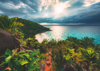 Rburg - Beaut.Islands Hawaii 1000p - Modern Brands Australia