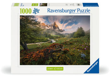 Rburg - Claree Valley French Alps 1000p - Modern Brands Australia