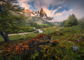 Rburg - Claree Valley French Alps 1000p - Modern Brands Australia