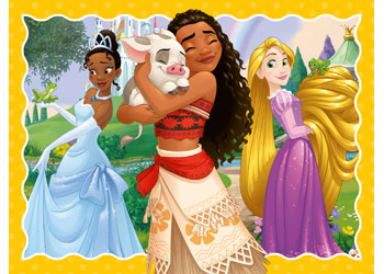 Rburg - Disney Friendship 12/16/20/24p - Modern Brands Australia