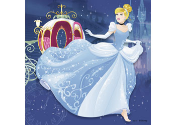 Rburg - Disney Princesses Adventure 3x49p - Modern Brands Australia