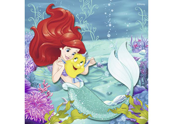 Rburg - Disney Princesses Adventure 3x49p - Modern Brands Australia