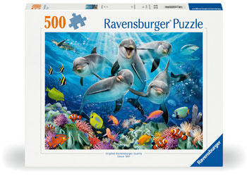 Rburg - Dolphins Puzzle 500p - Modern Brands Australia