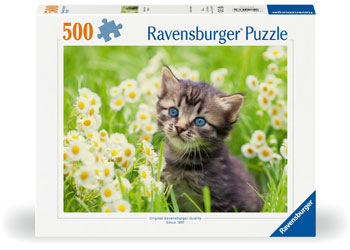 Rburg - Kitten in the Meadow 500p - Modern Brands Australia