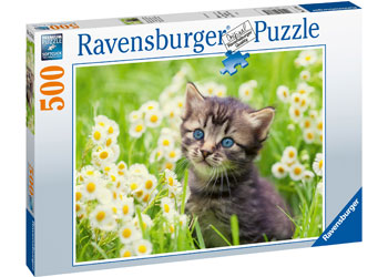 Rburg - Kitten in the Meadow 500p - Modern Brands Australia