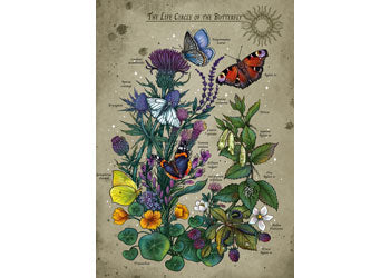 Rburg - AT: Lifecircle Butterfly 1000p - Modern Brands Australia