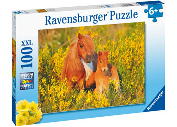 Rburg - Shetland Ponies 100pc - Modern Brands Australia