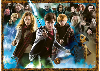 Rburg - The World of Harry Potter 2x500p - Modern Brands Australia
