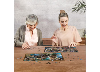 Rburg - The World of Harry Potter 2x500p - Modern Brands Australia