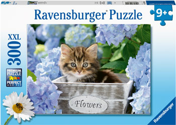 Rburg - Tortoiseshell Kitty 300p - Modern Brands Australia